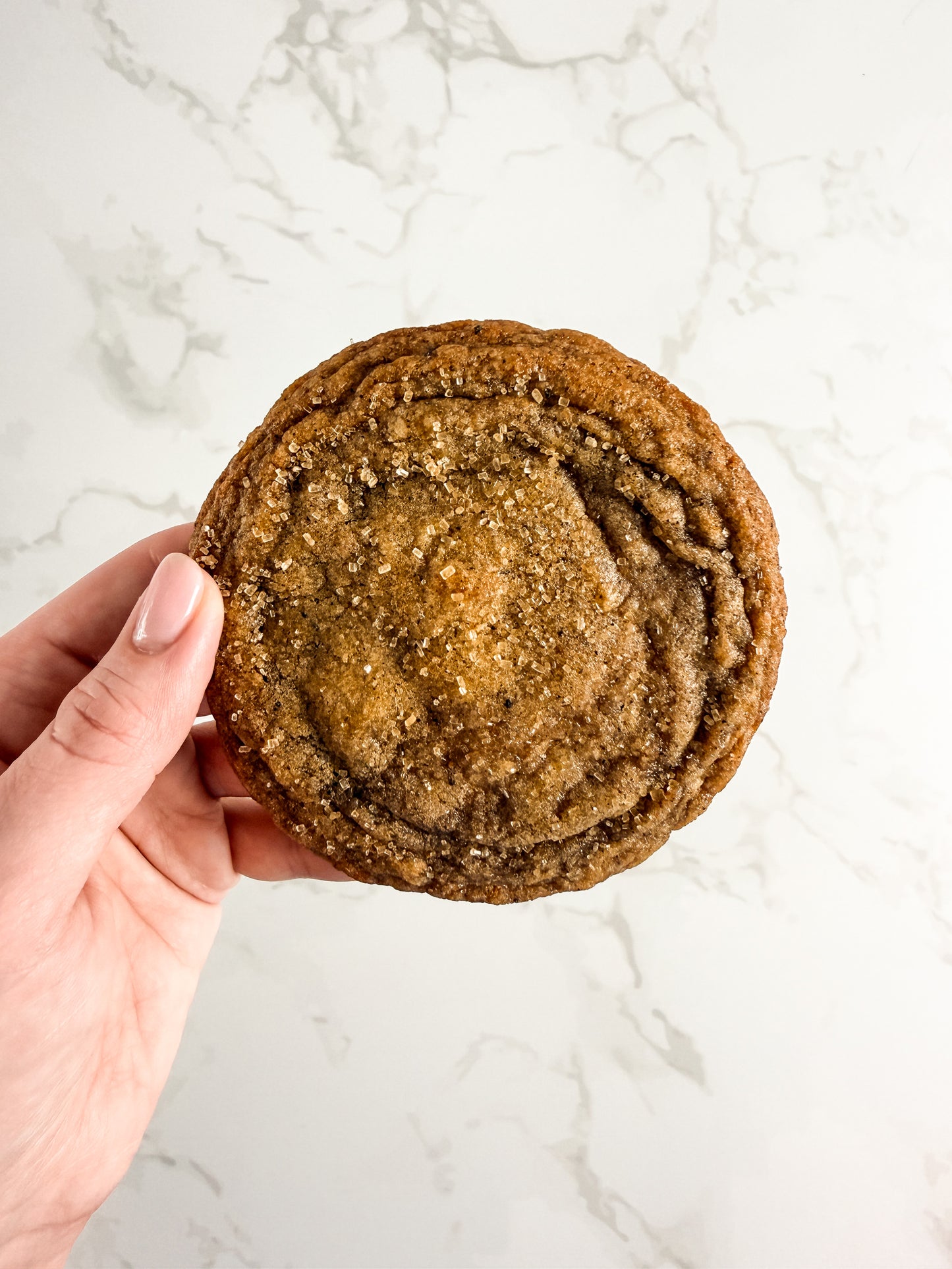 Hand holding a Half Three Earl Grey and orange cookie