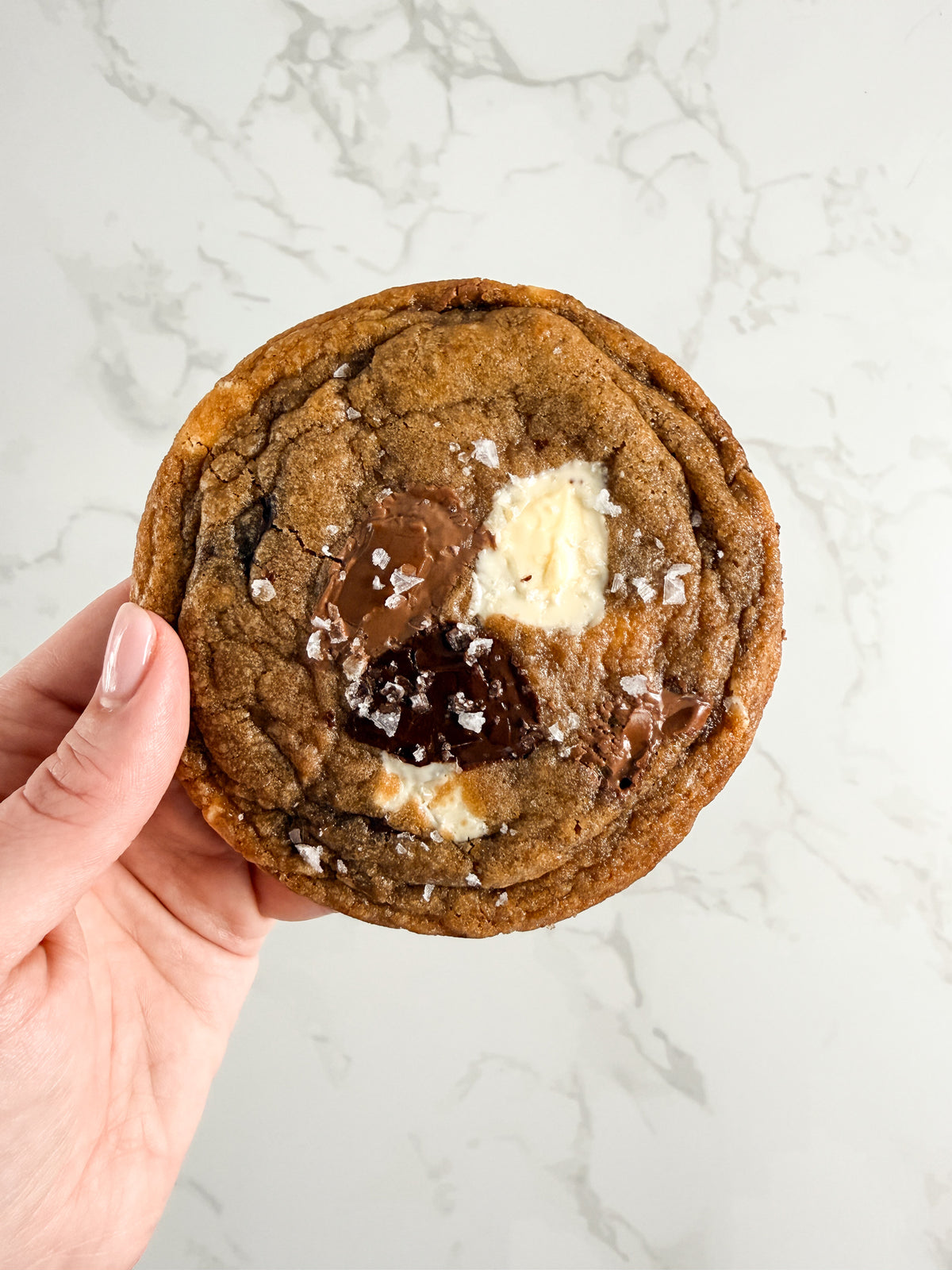 Hand holding a Half Three triple chocolate cookie, showing its size and thin chewy edges